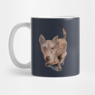 Koda's puppy dog eyes Mug